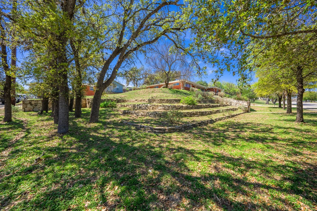 825 Golf Street Kerrville, TX 78028 - Photo 28 of 38 a view of yard with tree