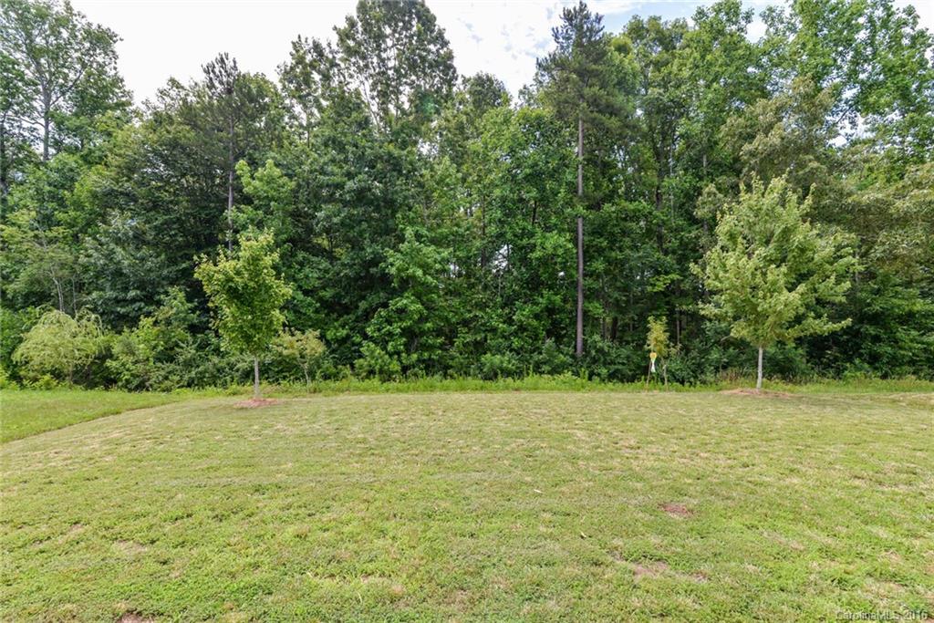 1657 Beleek Ridge Lane Clover, SC 29710 - Photo 22 of 24