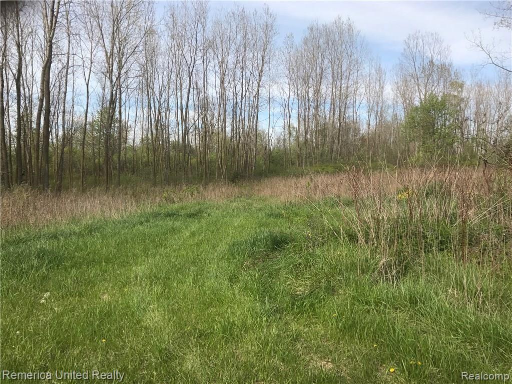 1 North Nicholson Road Fowlerville, MI 48836 - Photo 2 of 3