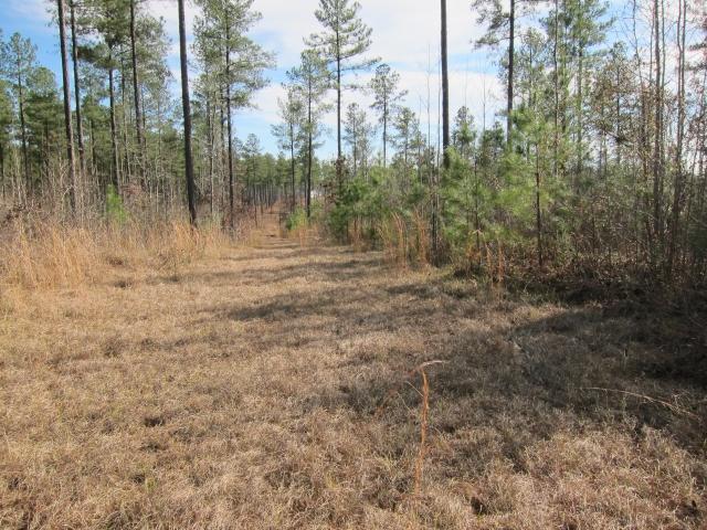 0 Firetower Road, Unit 9 Hillsboro, GA 31038 - Photo 1 of 1 Gallery Image 1