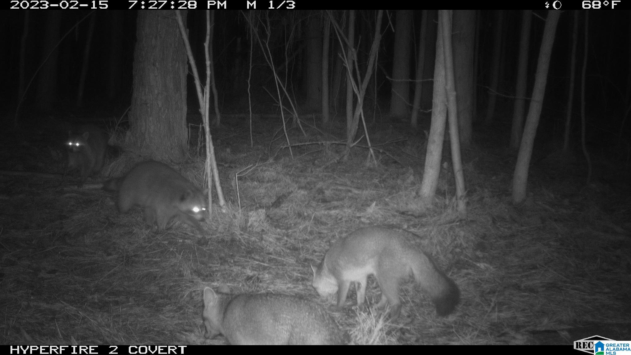 0 Parsons Loop Road Mulga, AL 35118 - Photo 36 of 38