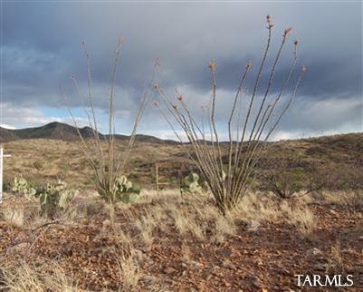 15175 East Hillton Ranch Road Vail, AZ 85641 - Photo 4 of 17