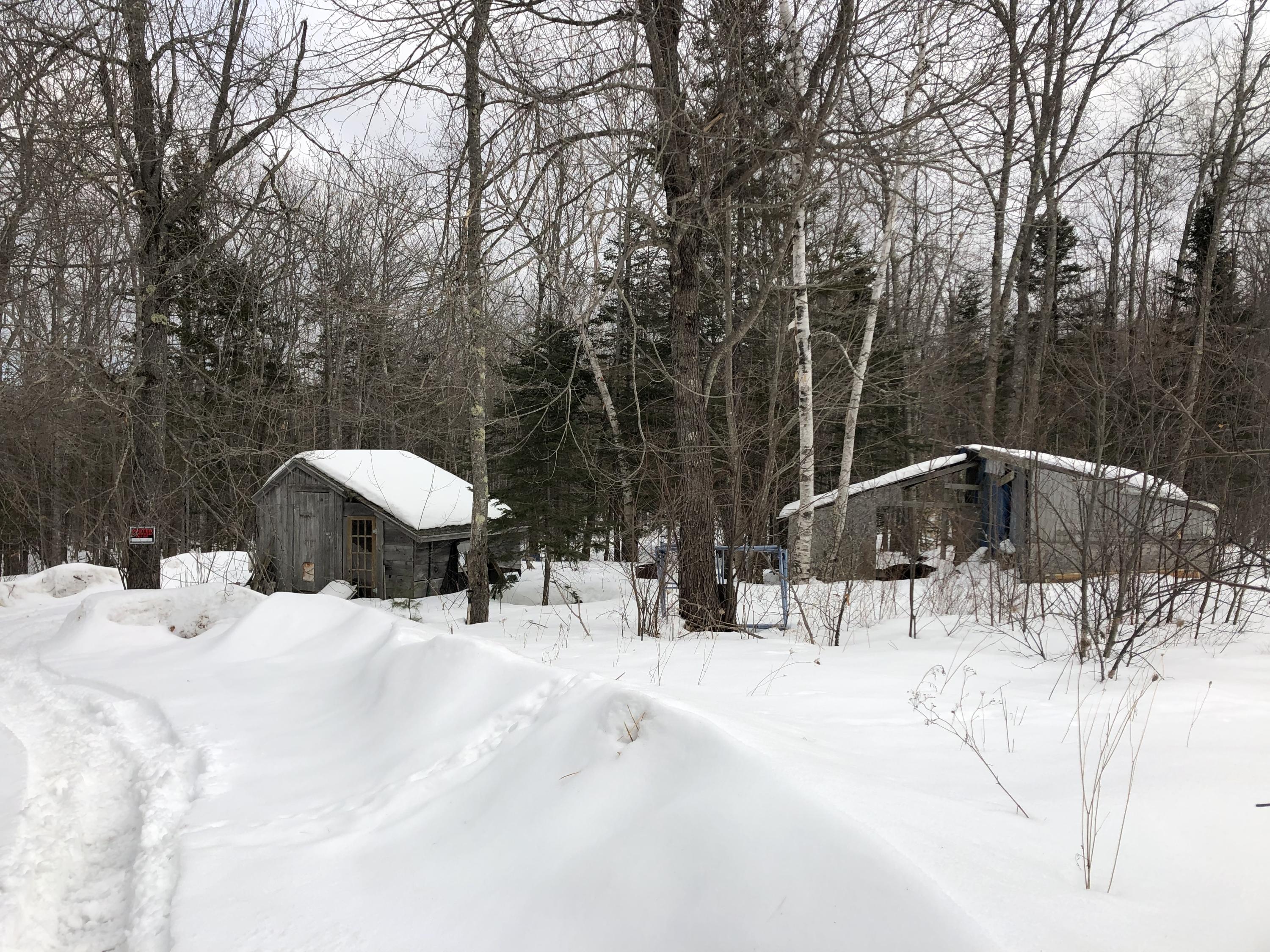 183 Bog Road Northport, ME 04849 - Photo 11 of 12 IMG_1729