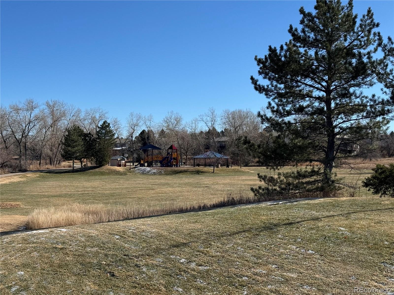 10505 Hyacinth Place Highlands Ranch, CO 80129 - Photo 36 of 40 a view of a field with trees in the background