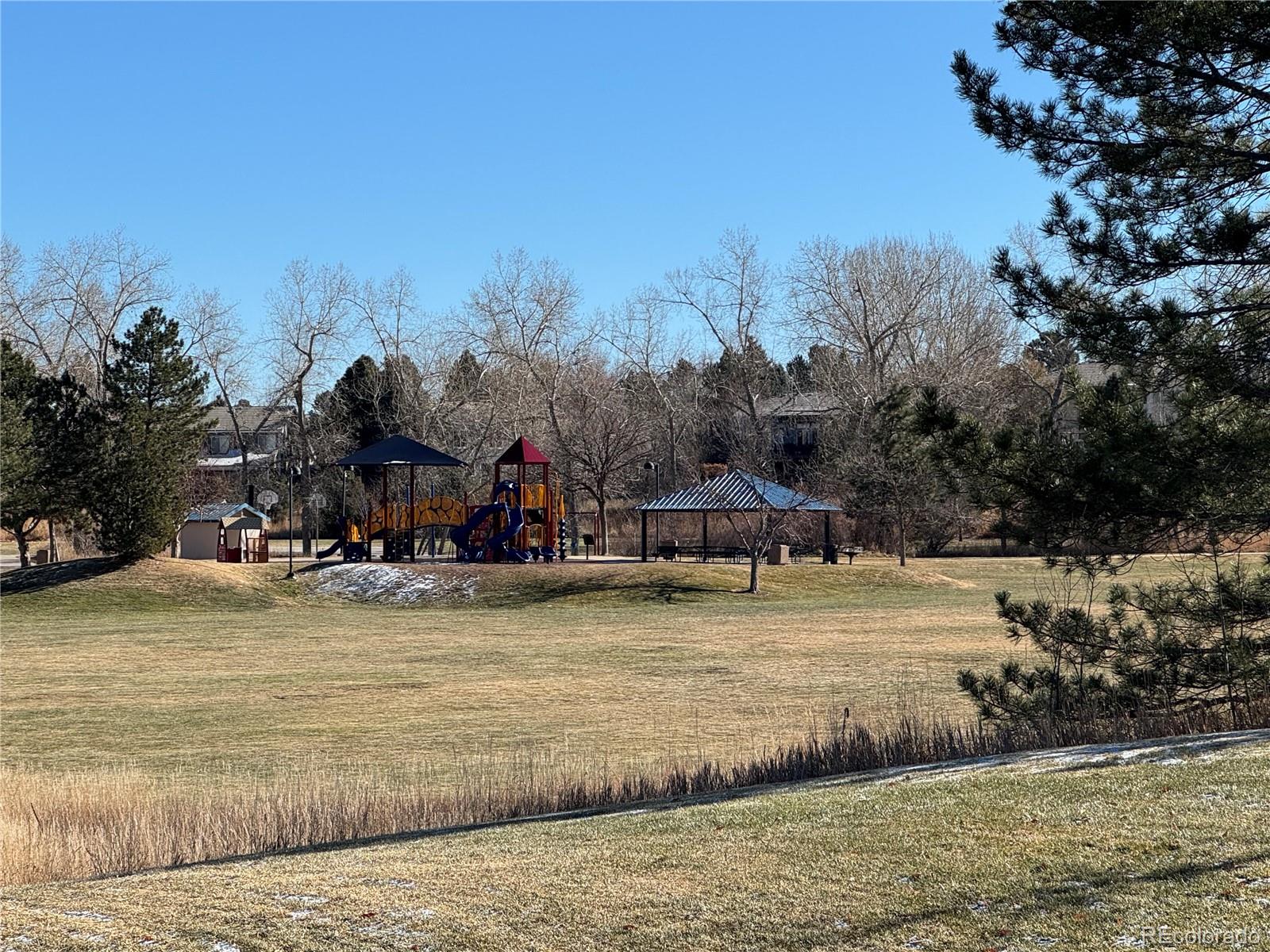 10505 Hyacinth Place Highlands Ranch, CO 80129 - Photo 37 of 40 a view of a swimming pool with an ocean and trees