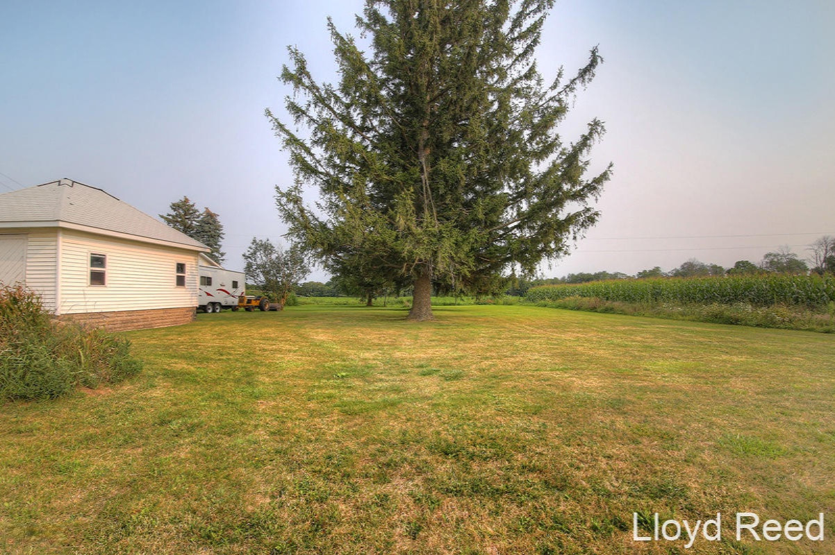 12250 West Cutler Road Lakeview, MI 48850 - Photo 23 of 28 Side Yard