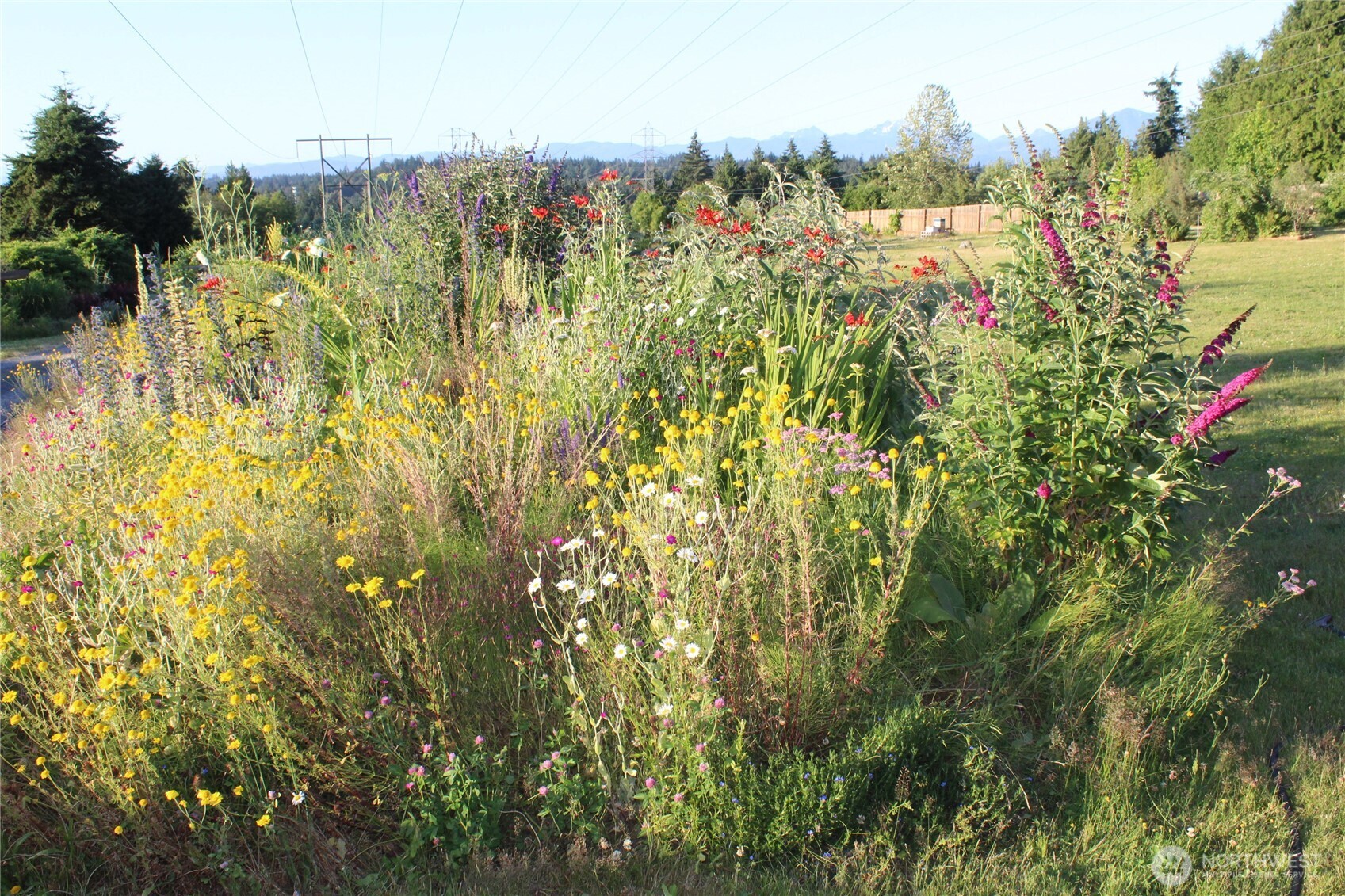 8017 64th Street Southeast Snohomish, WA 98290 - Photo 37 of 40