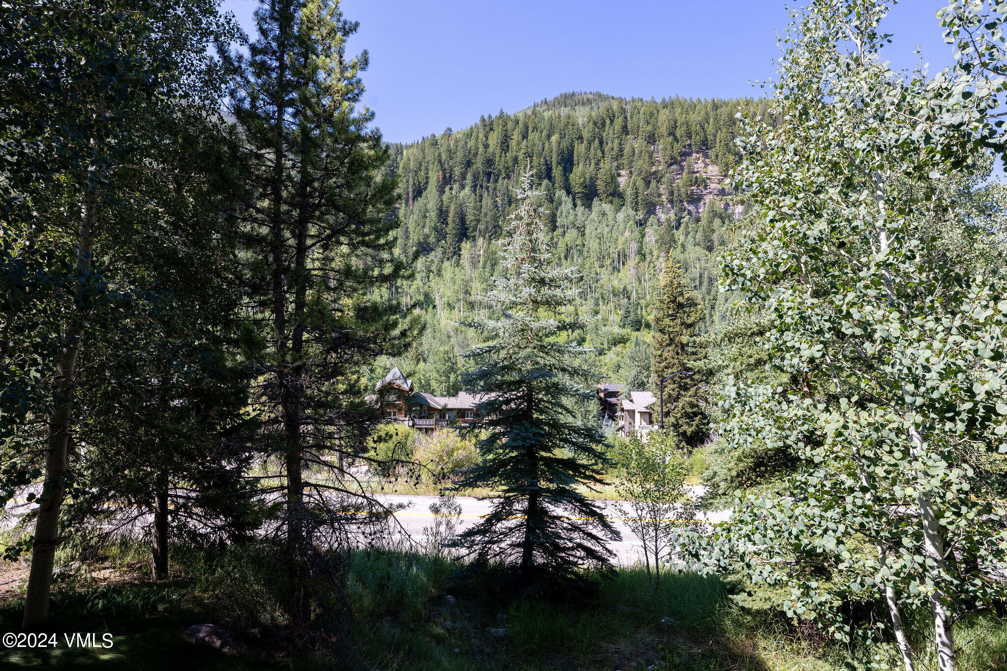 3891 Big Horn Road, Unit D Vail, CO 81657 - Photo 24 of 28 a view of a tree