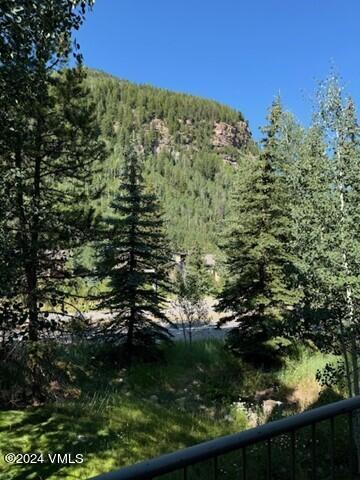 3891 Big Horn Road, Unit D Vail, CO 81657 - Photo 7 of 28 a view of a garden