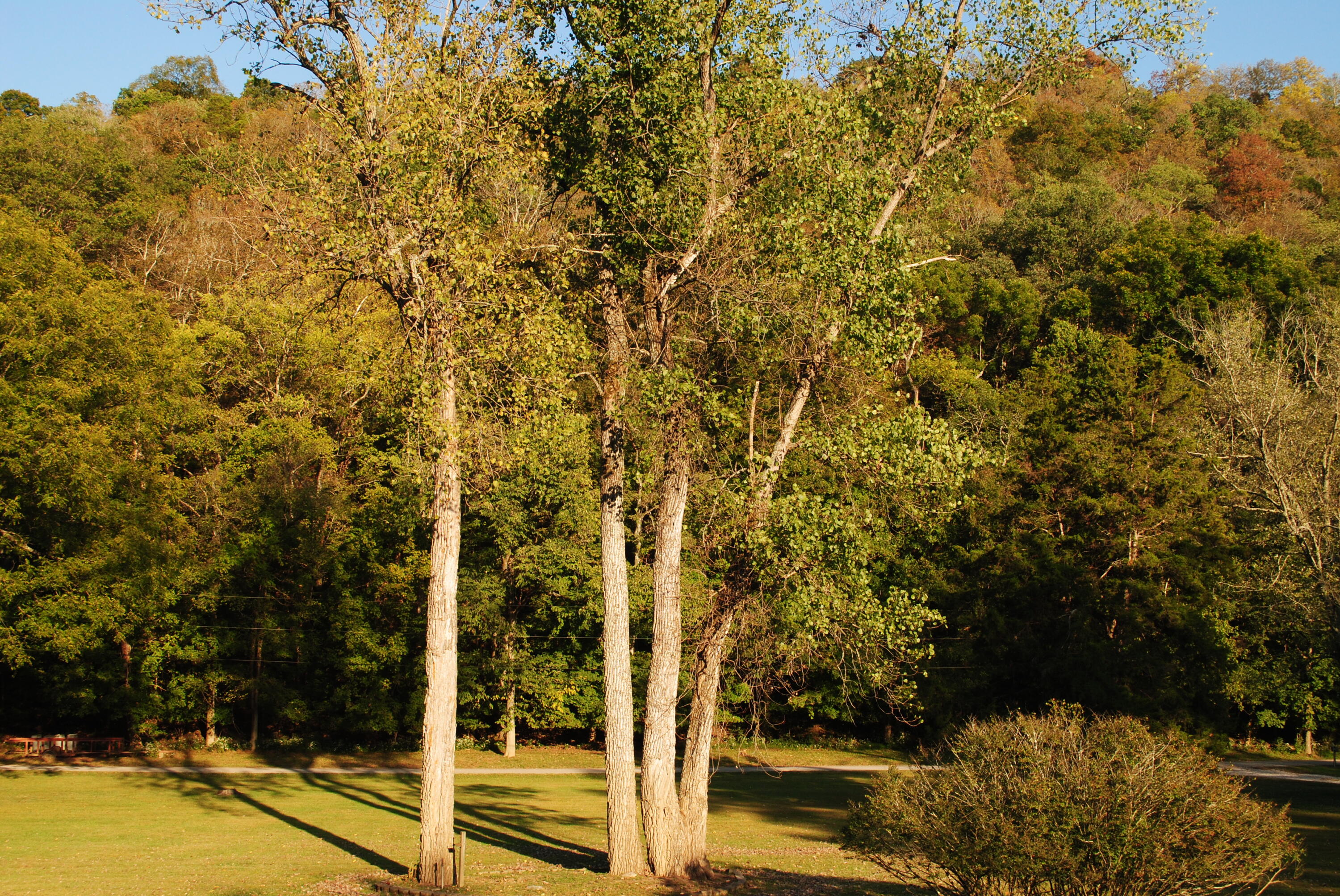 1900 Shore Acres Road Frankfort, KY 40601 - Photo 42 of 47 DSC_0635