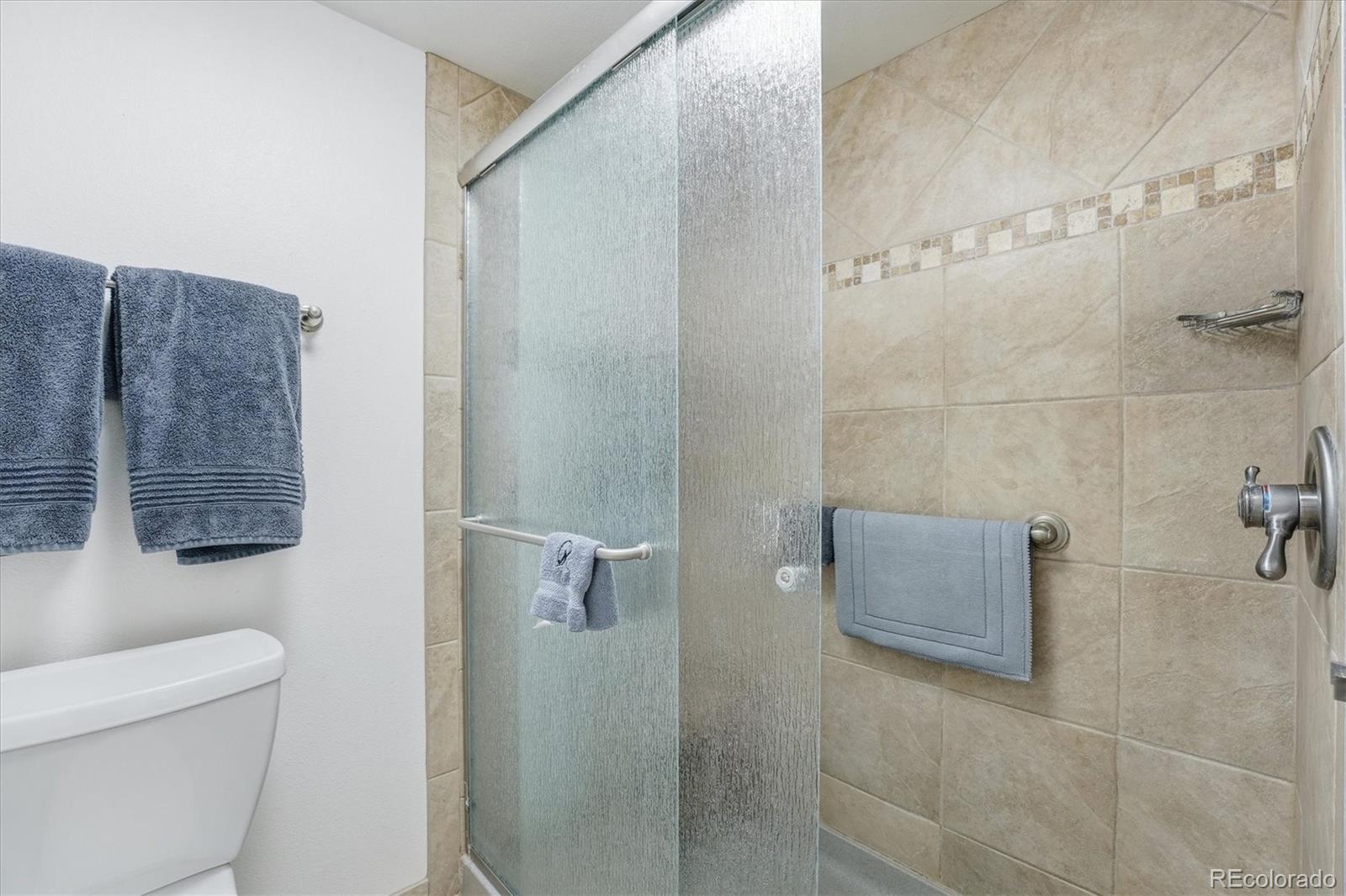 1304 Briar Circle Highlands Ranch, CO 80126 - Photo 33 of 50