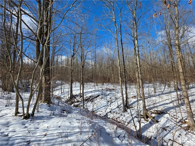 $229,900 | 3533 County Route 82, Troupsburg, NY 14885