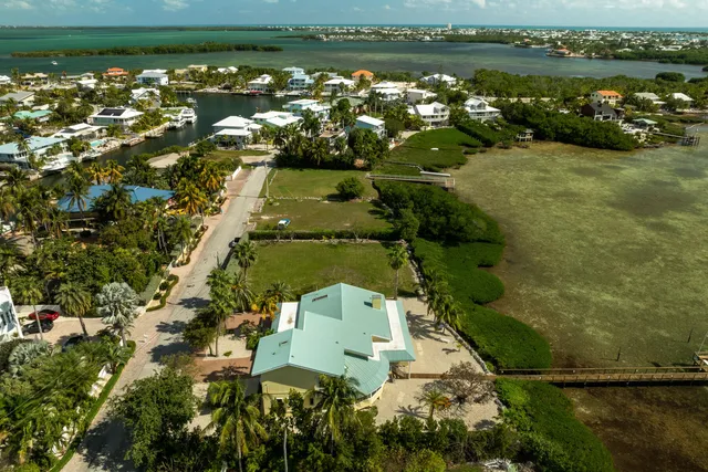 an aerial view of a house with a lake view