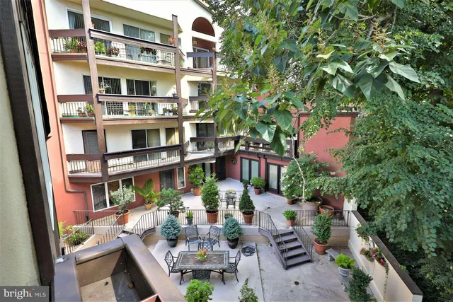 a view of a flower in a lot of flowers