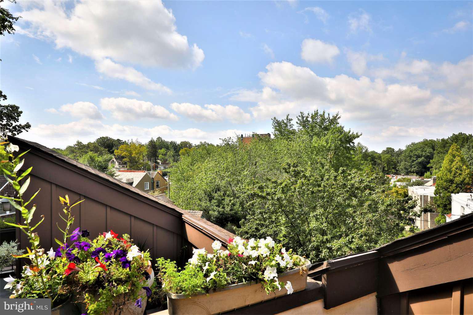 8 Rex Avenue, Unit 11 Philadelphia, PA 19118 - Photo 23 of 25 a view of a flower in a lot of flowers