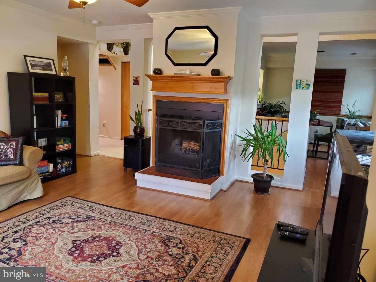 8 Rex Avenue, Unit 11 Philadelphia, PA 19118 - Photo 5 of 25 a living room with furniture and a fireplace