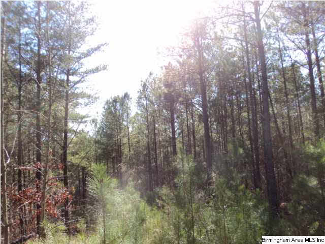 151 County Road, Unit 40 Jemison, AL 35085 - Photo 2 of 10