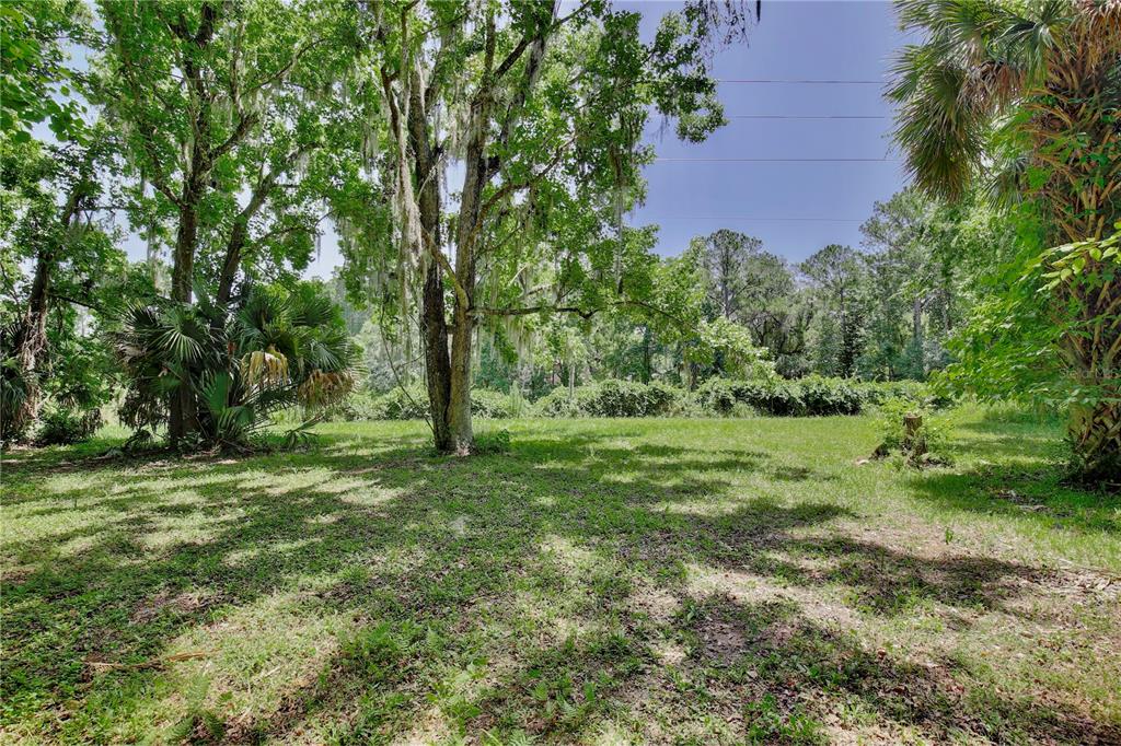 195 Parsons Road Longwood, FL 32779 - Photo 8 of 32 a big yard with lots of green space and deers