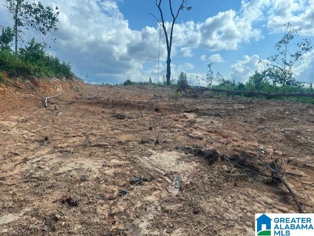 11482 Camp Oliver Road Adger, AL 35006 - Photo 39 of 48