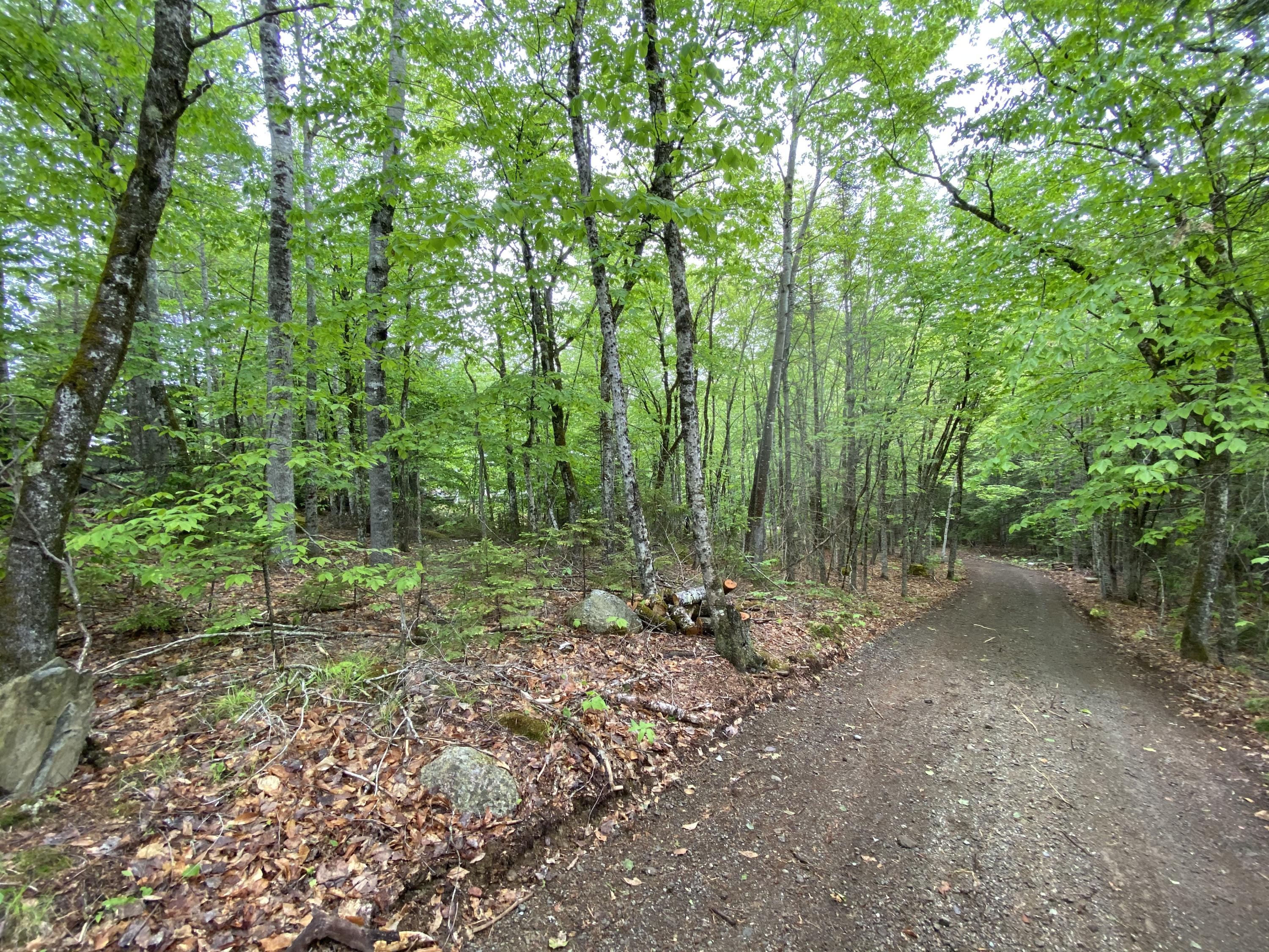329 Ellsworth Road Aurora, ME 04408 - Photo 45 of 45 IMG_7892