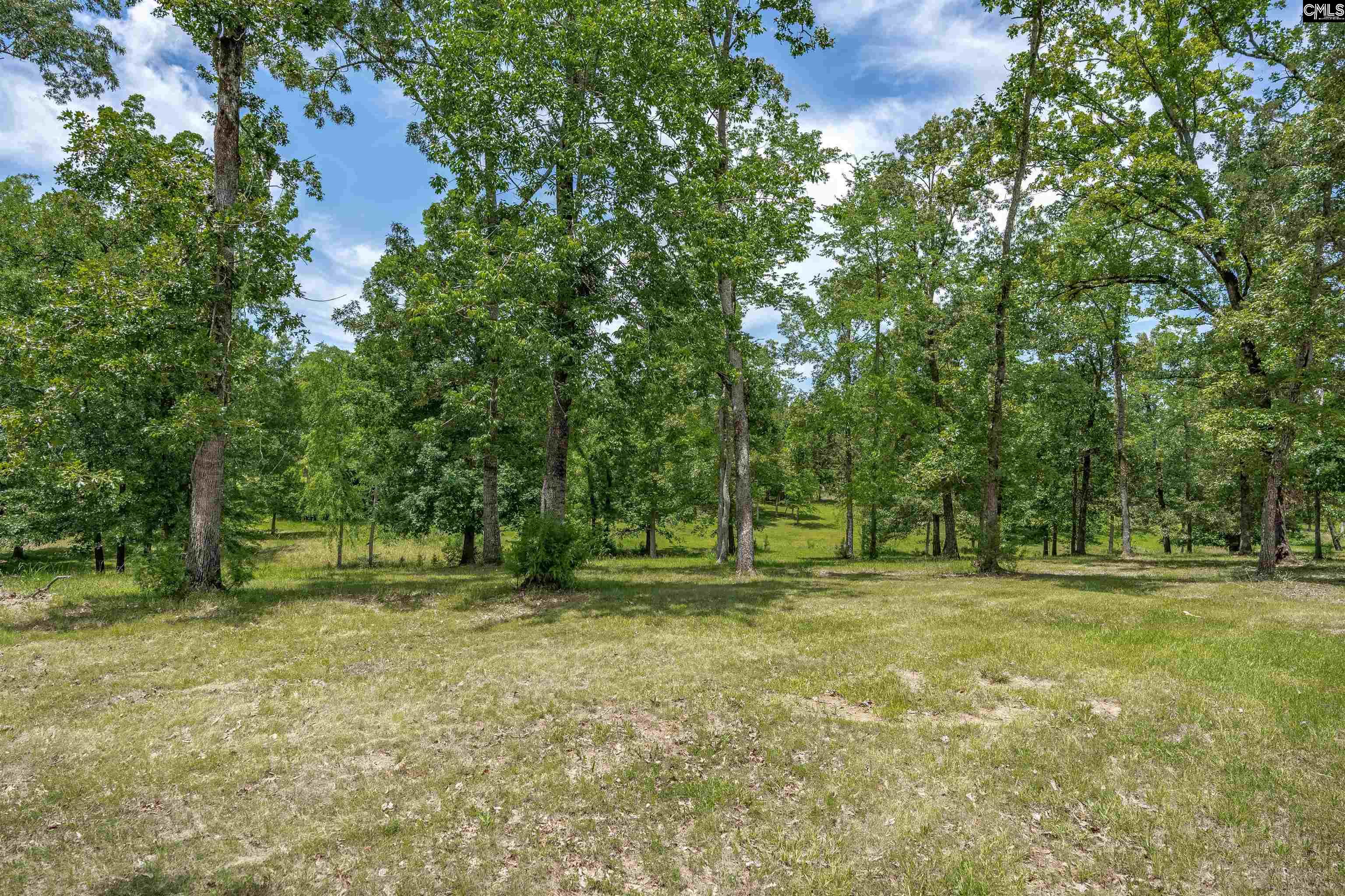 165 St Thomas Church Road Chapin, SC 29036 - Photo 72 of 99
