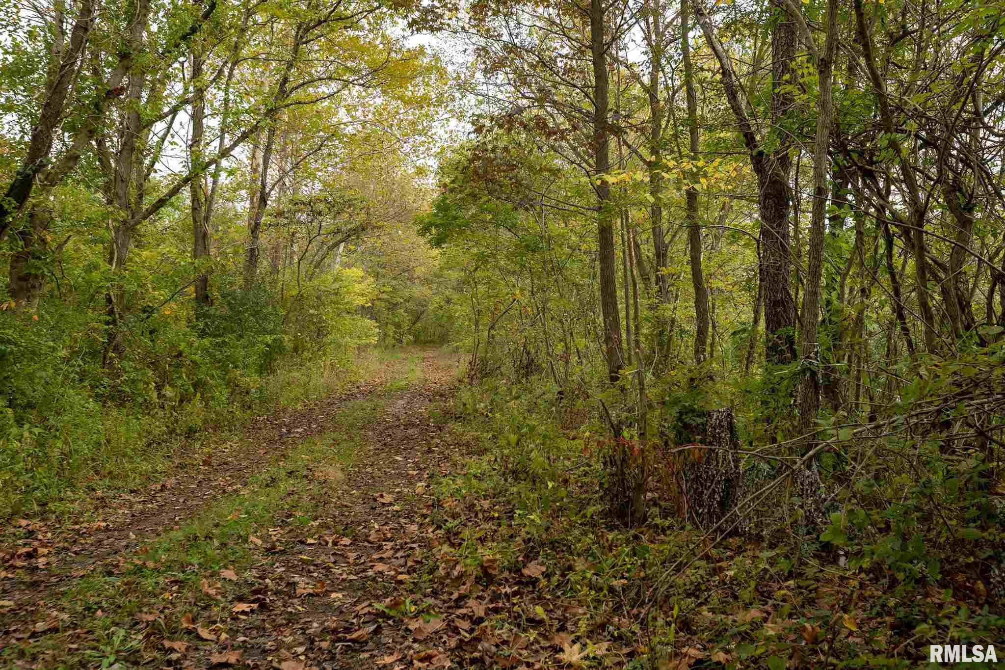 0 Pittsburg Road Marion, IL 62959 - Photo 14 of 21 Gallery Image 14