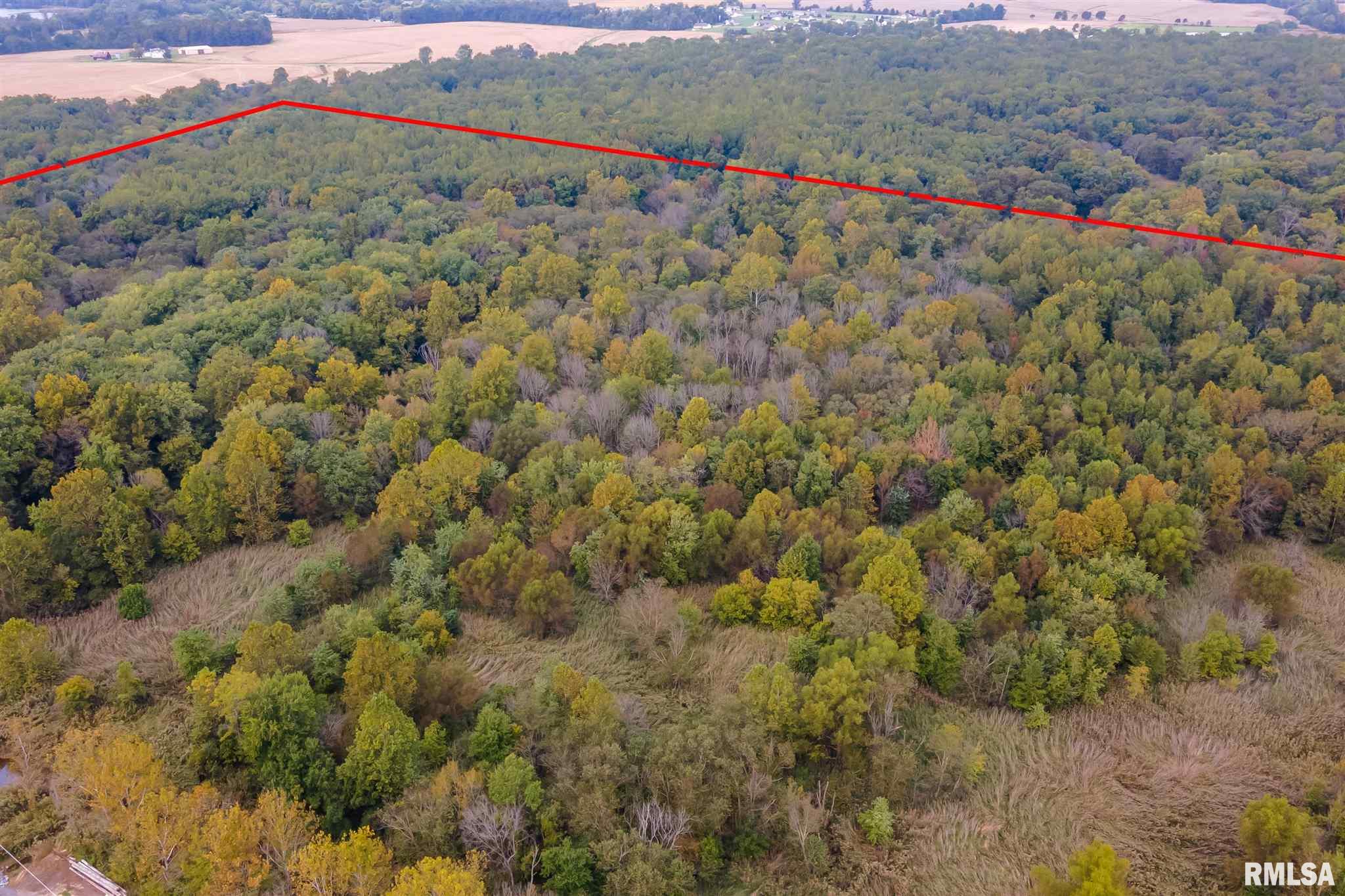 0 Pittsburg Road Marion, IL 62959 - Photo 5 of 21 Gallery Image 5