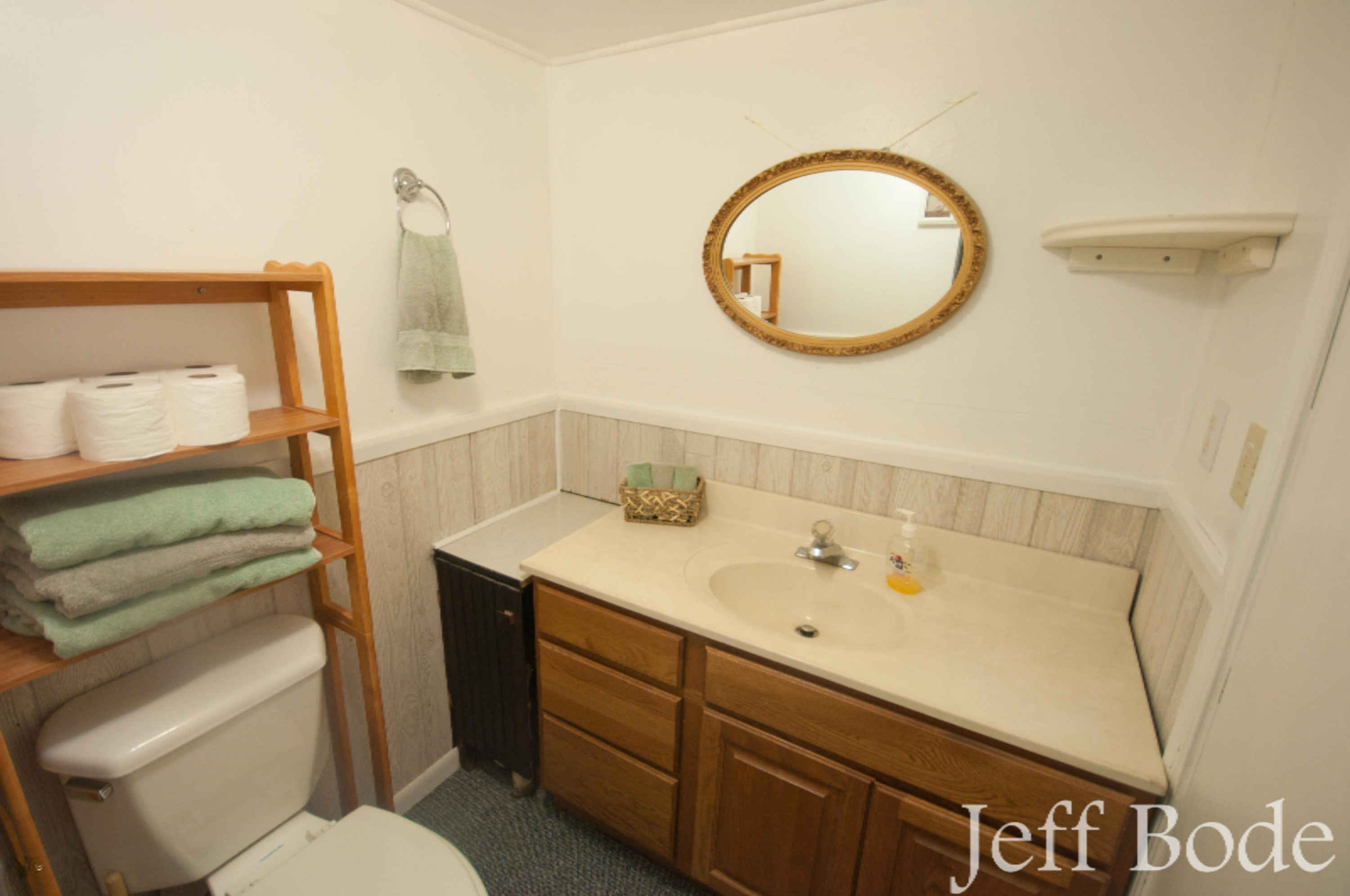 10345 Stakes Road Greenville, MI 48838 - Photo 32 of 32 DSC_0193