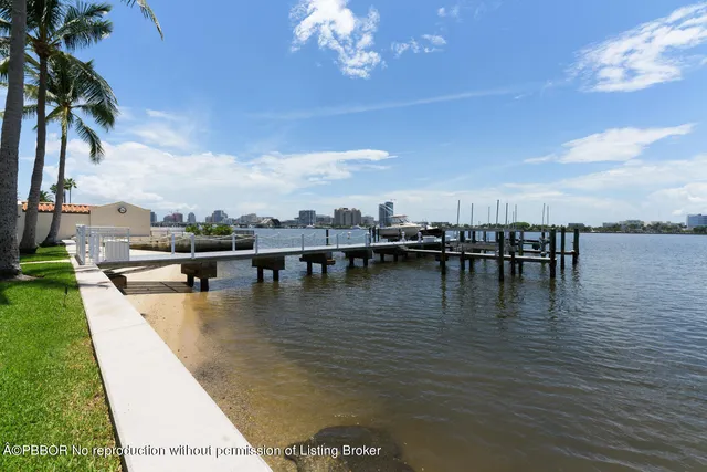 a view of a yard and palm trees