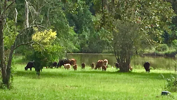 $220,000 | 7 Nelson Road, Hempstead, TX 77445