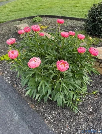 $1,295,000 | 3828 Millmount Drive, Powhatan, VA 23139