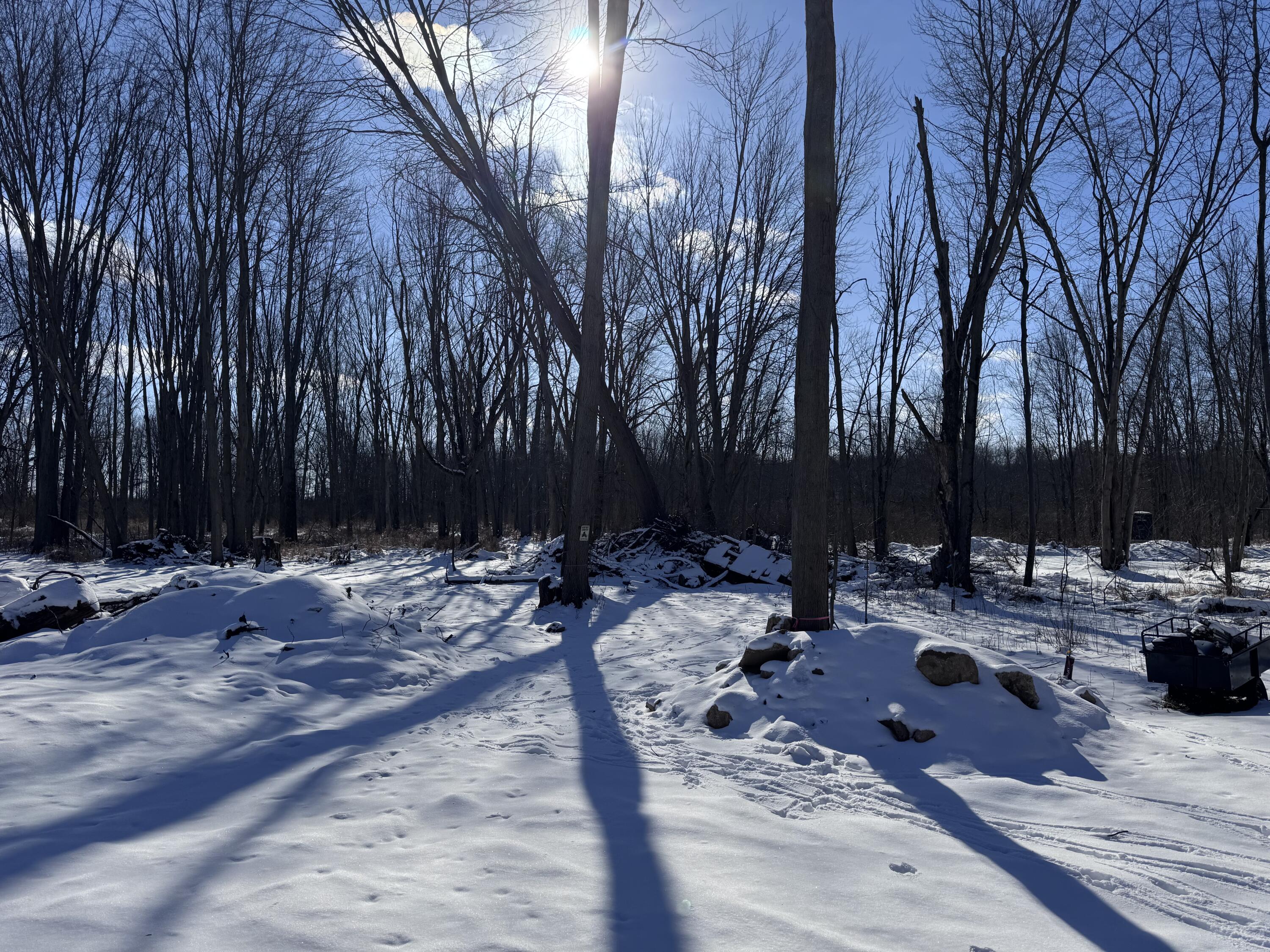 479 Grass Lake Road Coldwater, MI 49036 - Photo 5 of 5 Photo Jan 20 2026, 1 44 34 PM