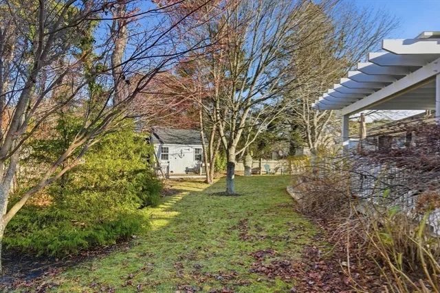 a view of a yard with plants and trees