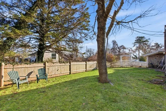 a view of a yard with large tree