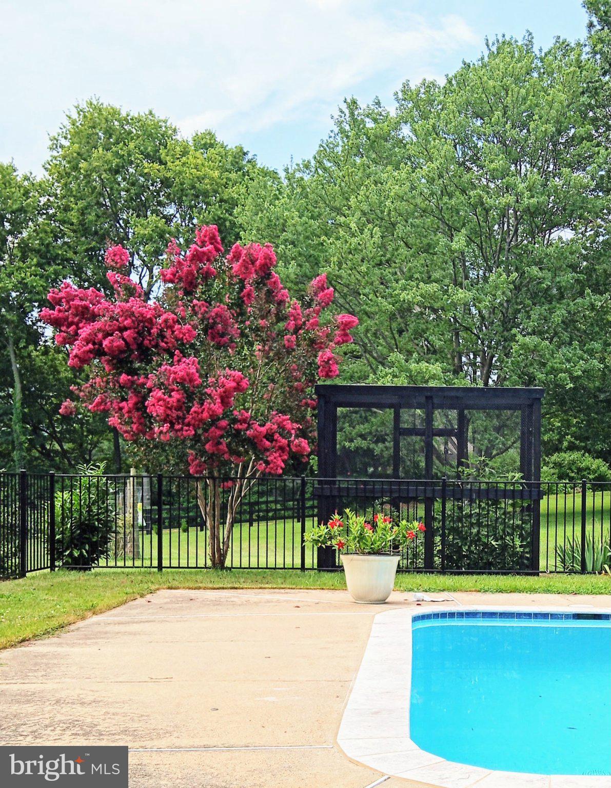 34994 Williams Gap Road Round Hill, VA 20141 - Photo 88 of 90 Gallery Image 88