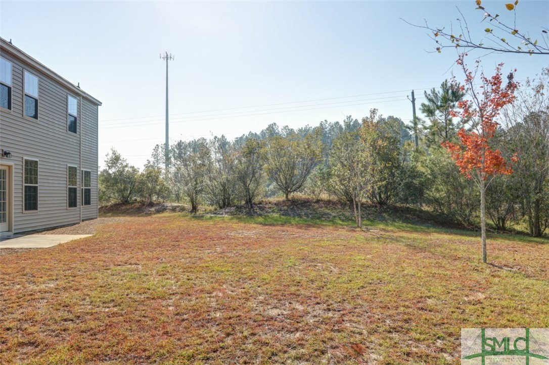 201 Cattle Run Way Pooler, GA 31322 - Photo 25 of 30