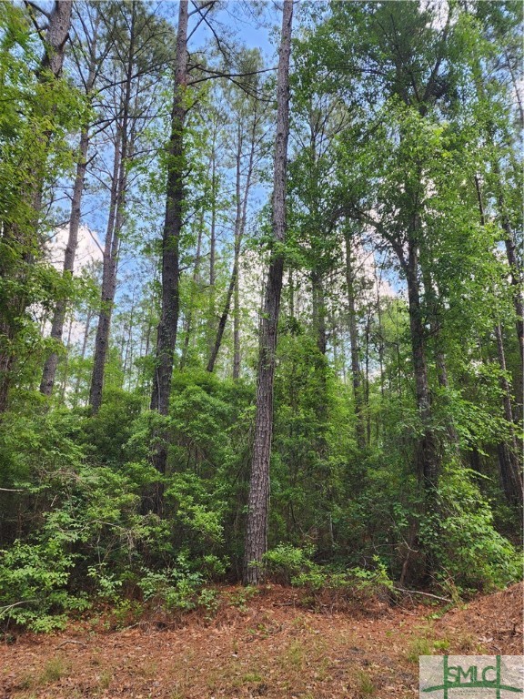 0 Clyo Shawnee Road Clyo, GA 31303 - Photo 3 of 3