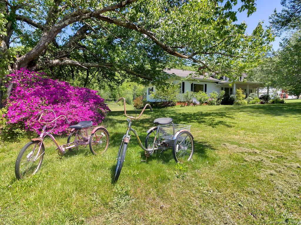315 Shoals Falls Road Hendersonville, NC 28739 - Photo 3 of 47 a backyard of a house with table and chairs