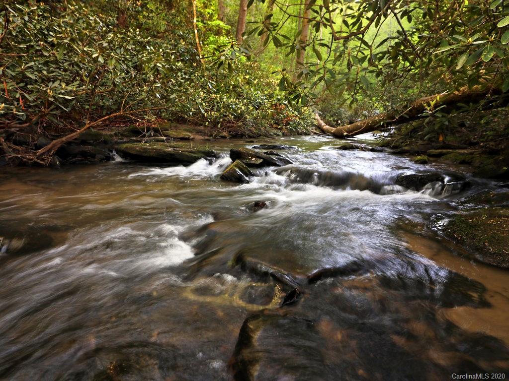 315 Shoals Falls Road Hendersonville, NC 28739 - Photo 26 of 47