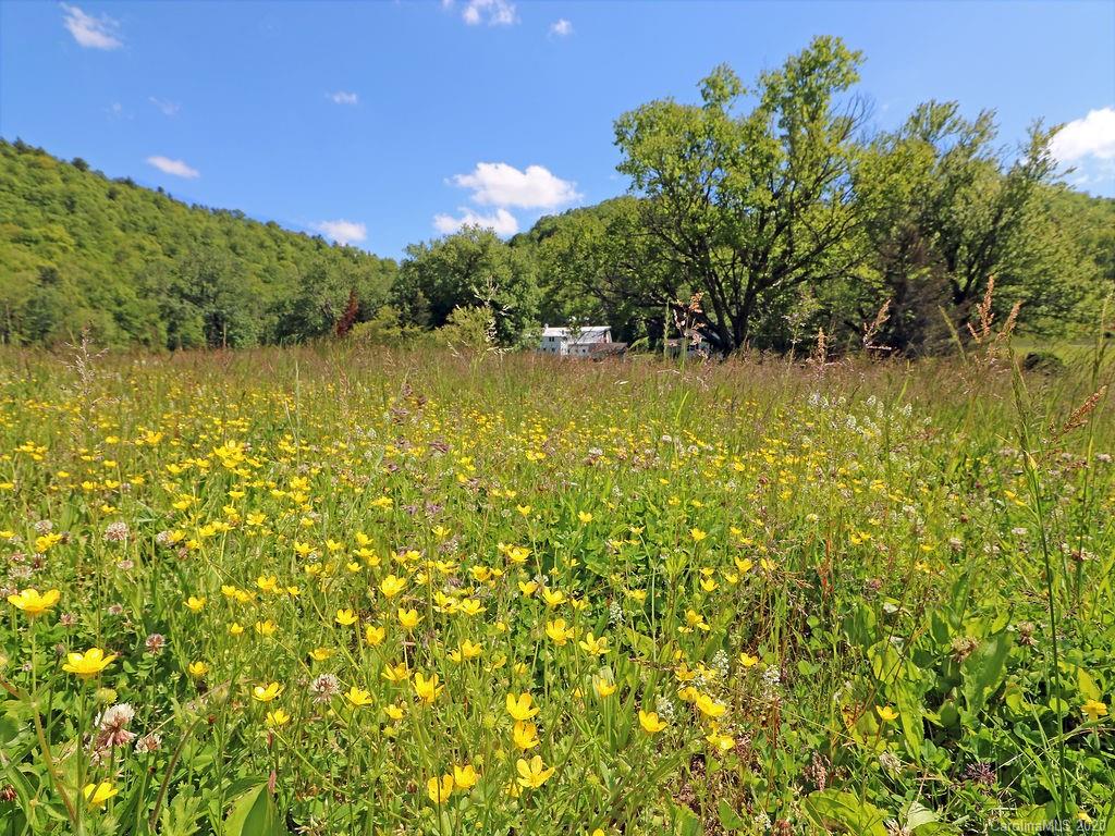 315 Shoals Falls Road Hendersonville, NC 28739 - Photo 34 of 47 a view of lake view