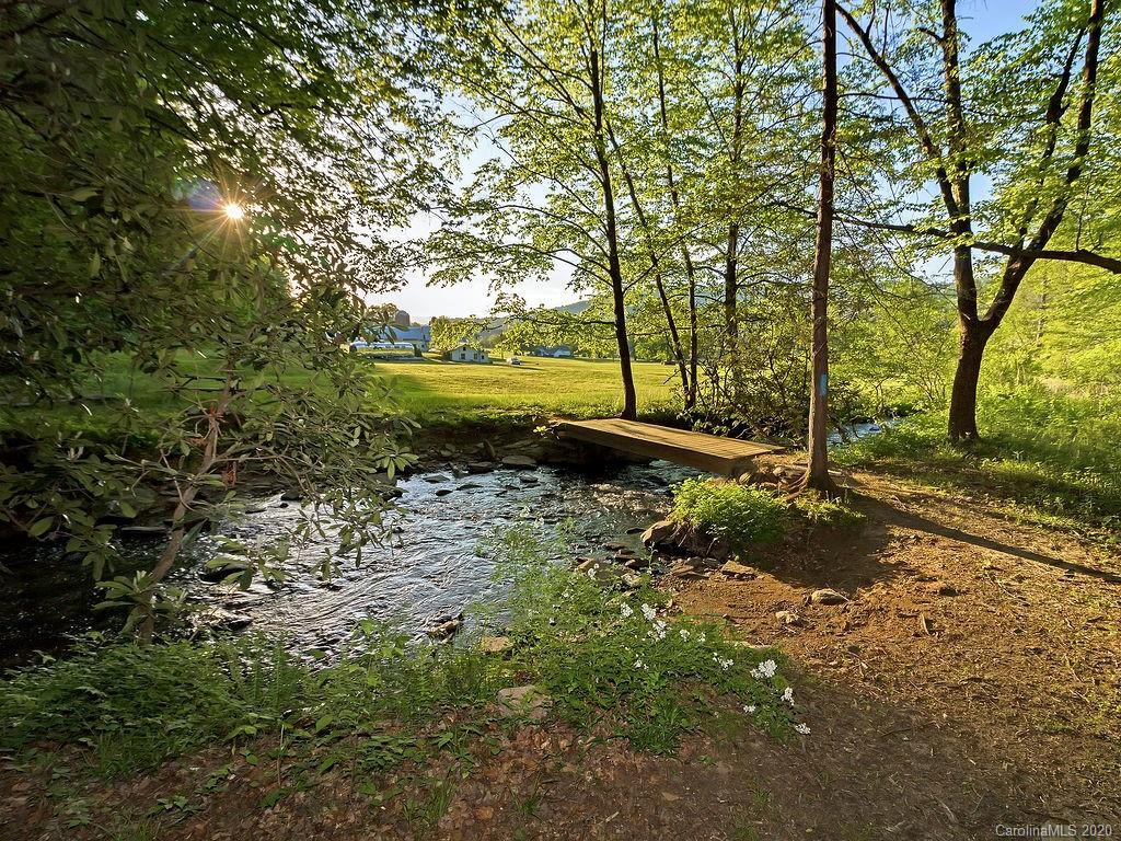 315 Shoals Falls Road Hendersonville, NC 28739 - Photo 37 of 47 a view of a tree in the middle of a yard