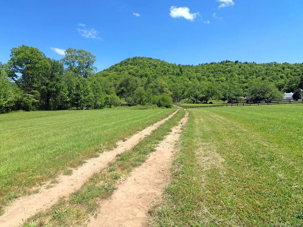 315 Shoals Falls Road Hendersonville, NC 28739 - Photo 38 of 47 a view of a grassy field with an trees