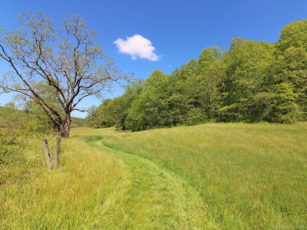 315 Shoals Falls Road Hendersonville, NC 28739 - Photo 42 of 47 a view of yard and mountain view