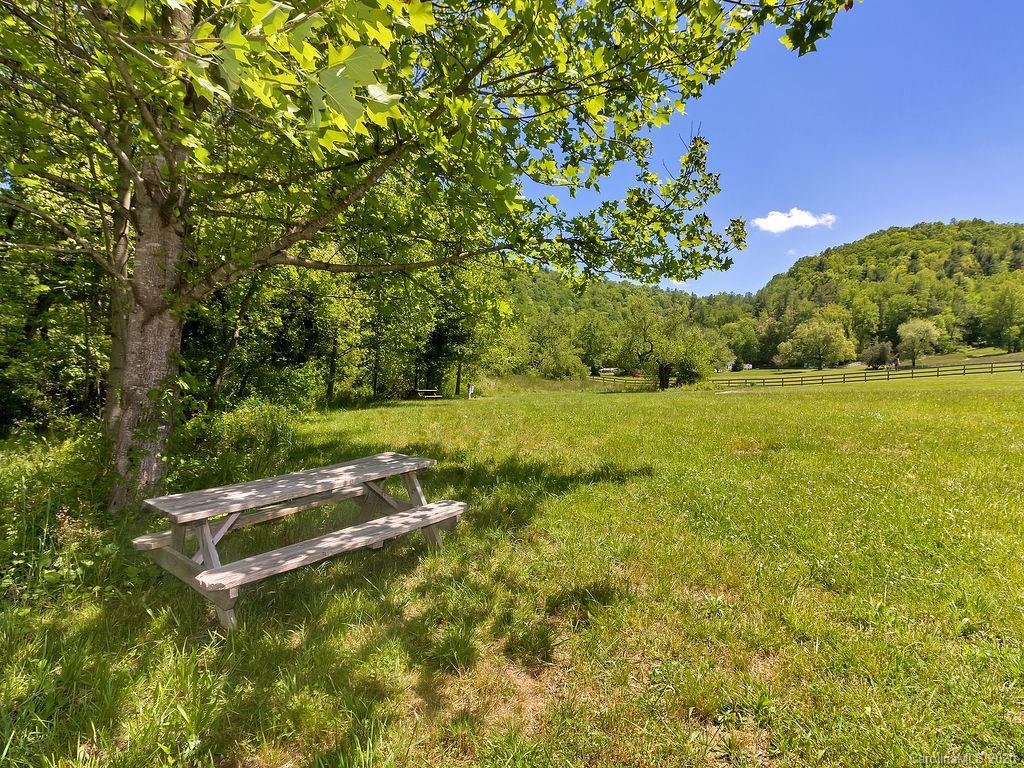 315 Shoals Falls Road Hendersonville, NC 28739 - Photo 43 of 47 a backyard of a house with lots of green space
