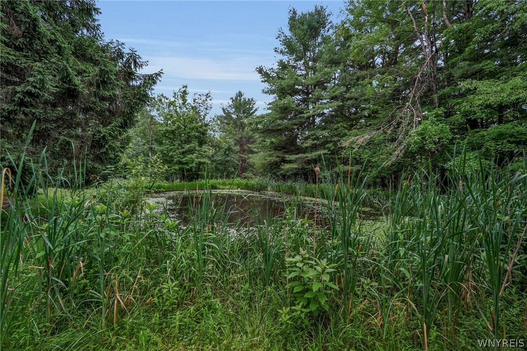 7126 Boston Cross Road, Unit E Boston, NY 14025 - Photo 28 of 39 Gallery Image 28