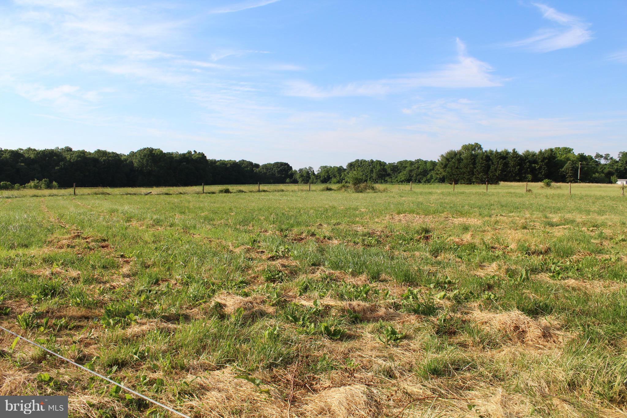 2178 Cecilton Warwick Road Warwick, MD 21912 - Photo 13 of 28 A view out back
