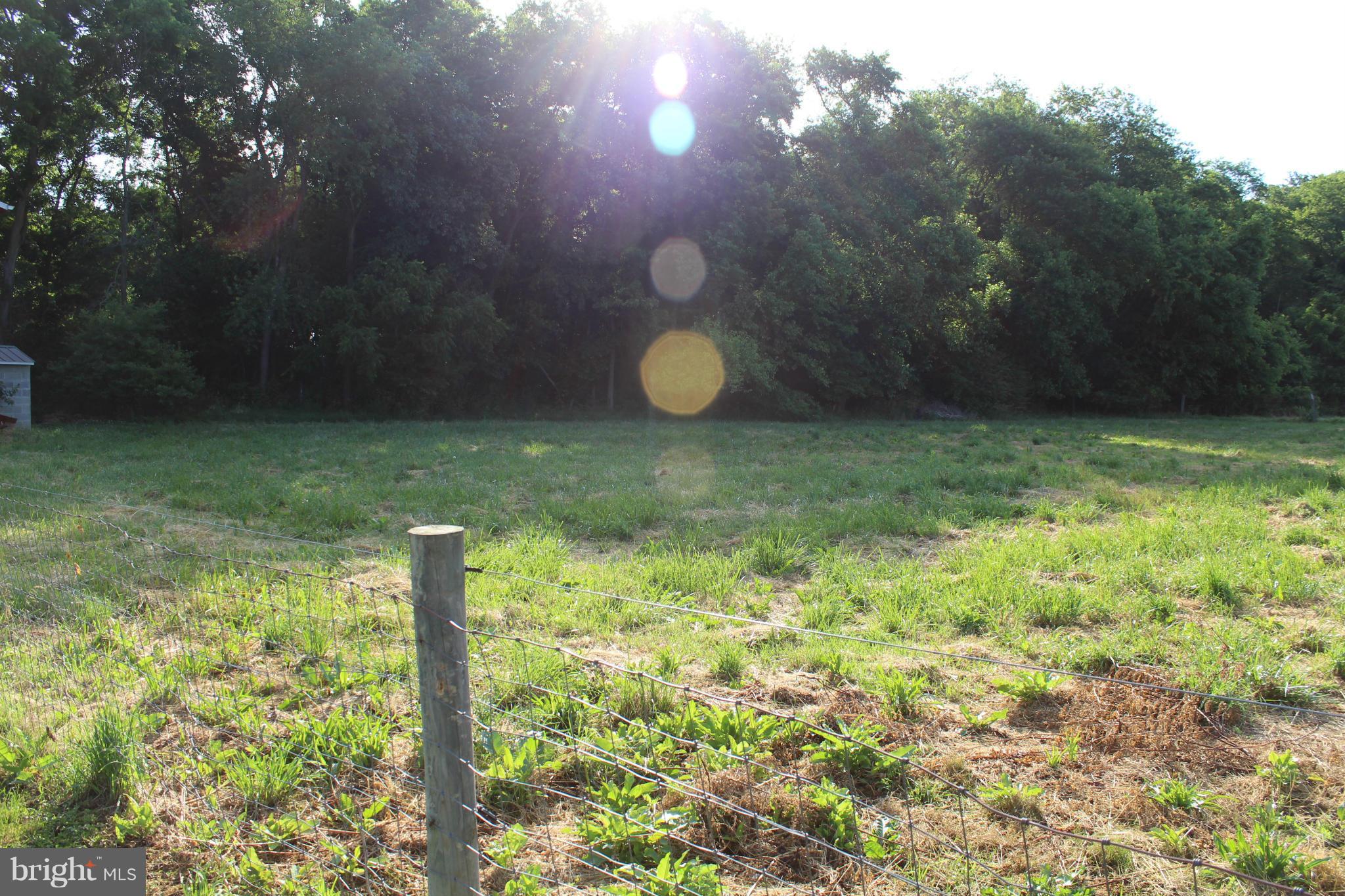 2178 Cecilton Warwick Road Warwick, MD 21912 - Photo 14 of 28 More out back