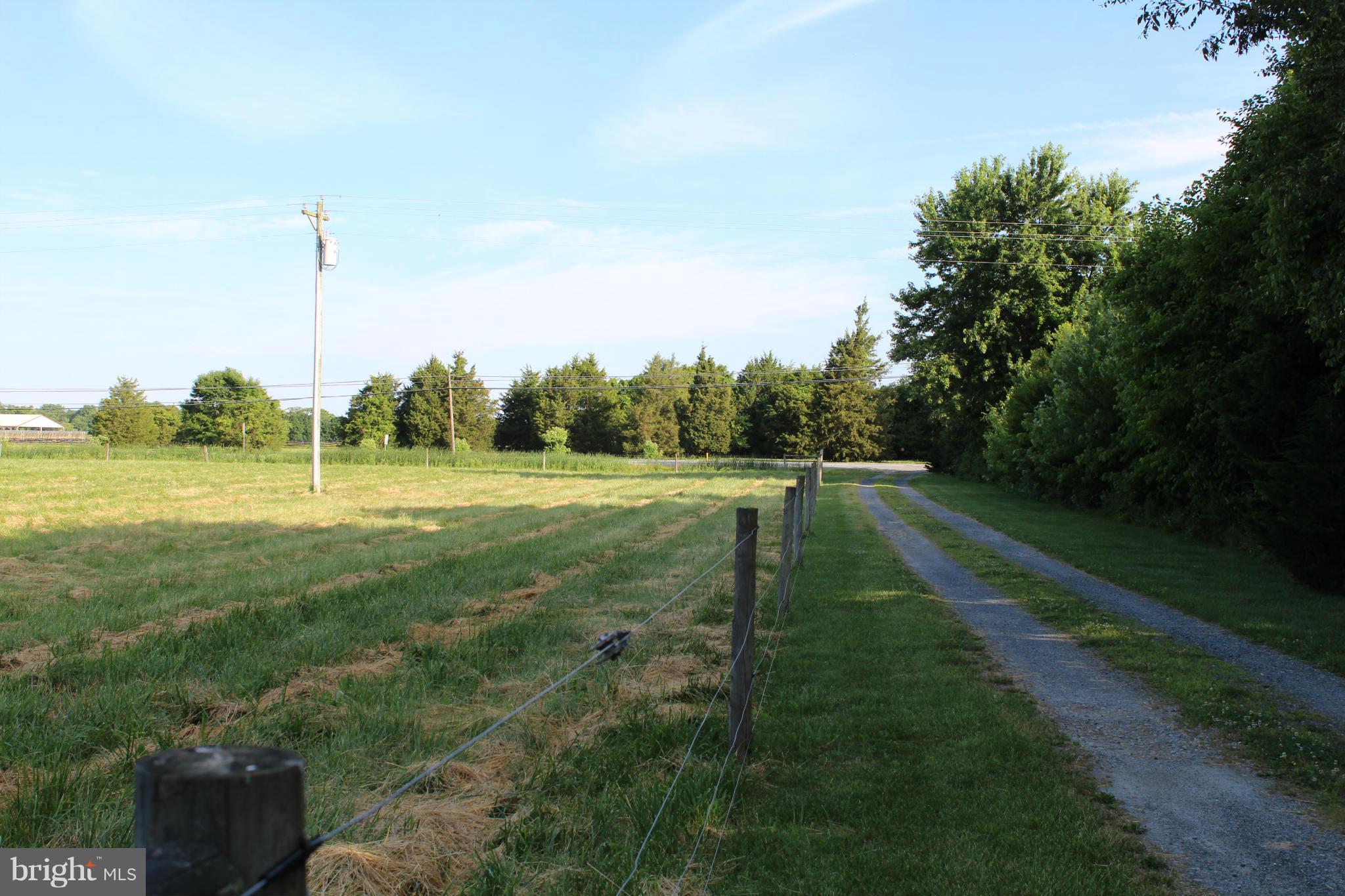 2178 Cecilton Warwick Road Warwick, MD 21912 - Photo 3 of 28 A view from the barn up the driveway