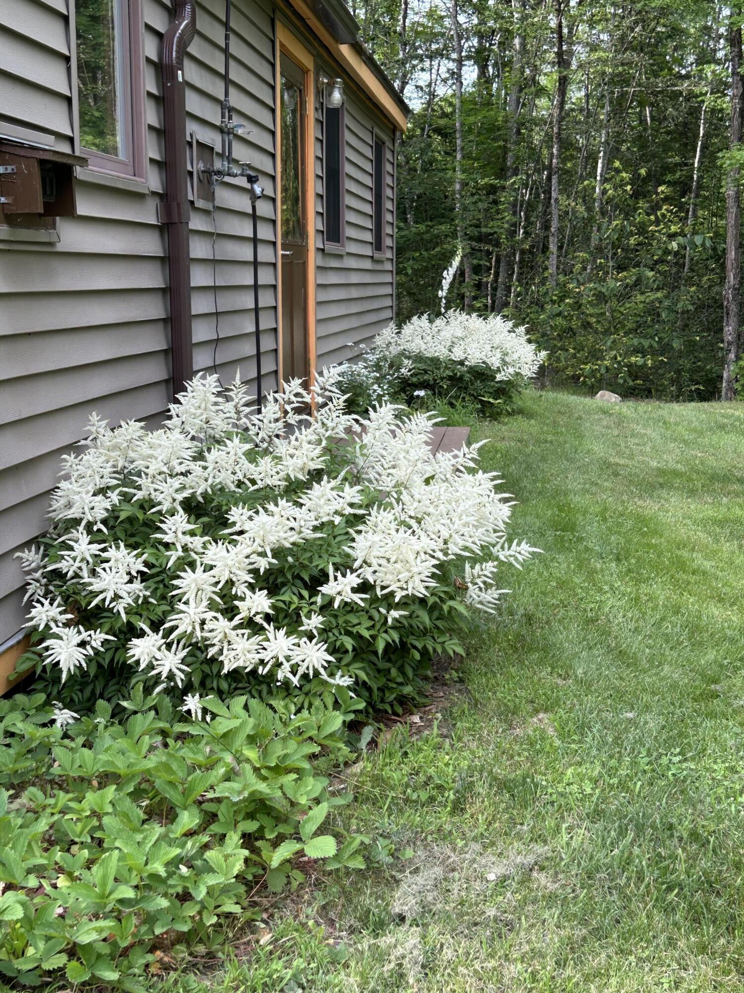 84 Bunker Road Charleston, ME 04422 - Photo 5 of 39 IMG_5472