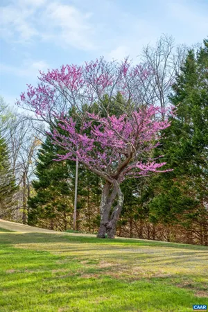 $609,000 | 1165 Fortune's Cove Lane, Lovingston, VA 22949